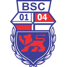 VFL维查尔